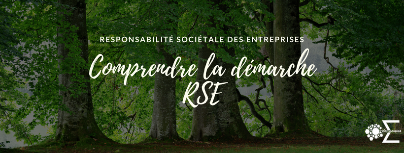 comprendre la demarche rse